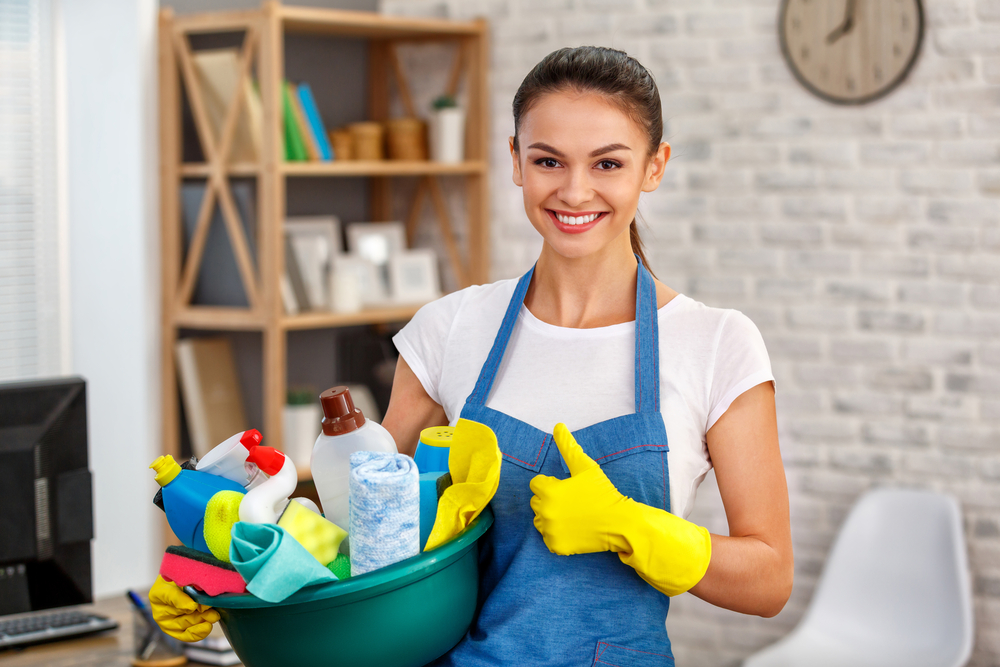 The Clean Revolution Redefining Standards with Professional Cleaning Services