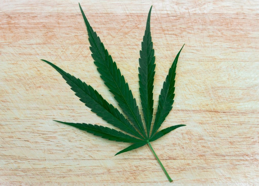 Weed Persistence 101: Unraveling the Timeframe in Your System