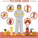 The Battle Plan: Creating a Strategy for Pest Control Success