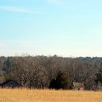 Claiming Success: Roof Replacement Insurance Tips