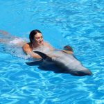 Dive into Adventure: Swimming with Dolphins in Punta Cana