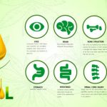 Best CBD Shops for Beginners in Austin