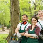 Seasonal Landscaping Tips for Skokie Residents