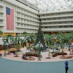 Why Families Love Staying at Westgate Resorts Every Year