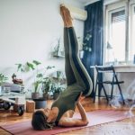 Foods That Offer Natural Support for Body Function