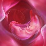 Abortion Information Emotional and Medical Considerations