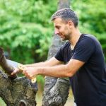 Expert Casselberry Tree Services for Healthy, Beautiful Trees