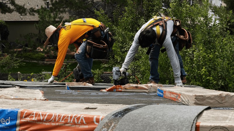 Three Tree Roofing Helps Protect Your Home With Quality Roofing