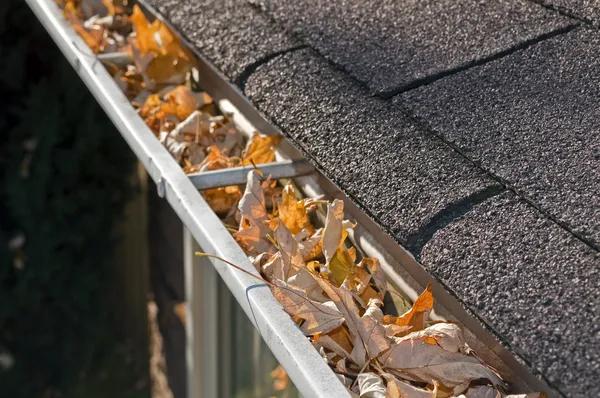 Affordable Safe Flow Gutter Services for Clean & Clog-Free Gutters