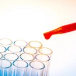 Best Performing Transfection Reagents for Cell Culture Experiments