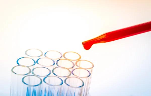 Best Performing Transfection Reagents for Cell Culture Experiments